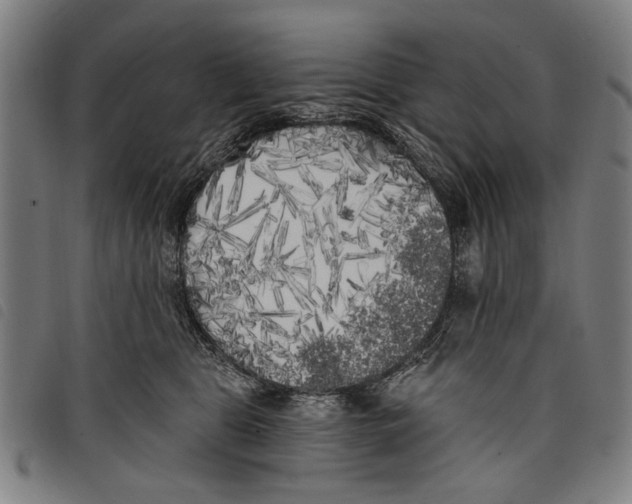 X0000097810469200804041340