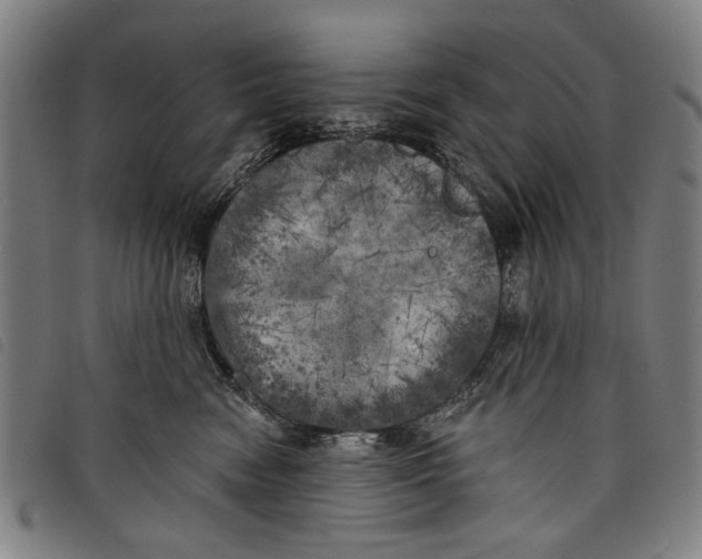 X0000097810474200804041340