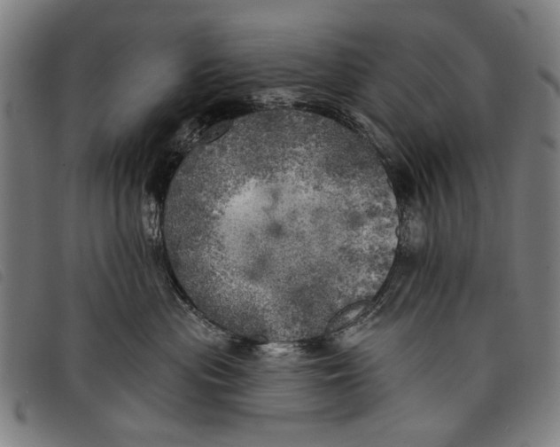 X0000097810477200804041340