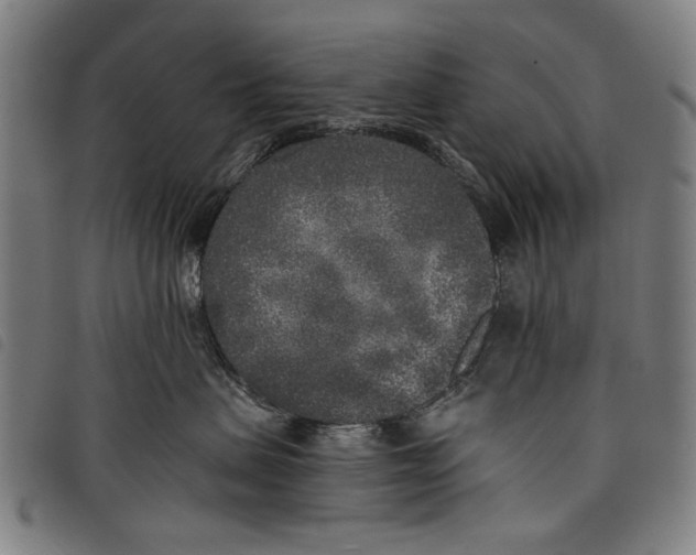 X0000097810479200804041340