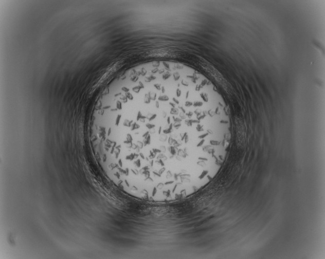 X0000097810482200804041340