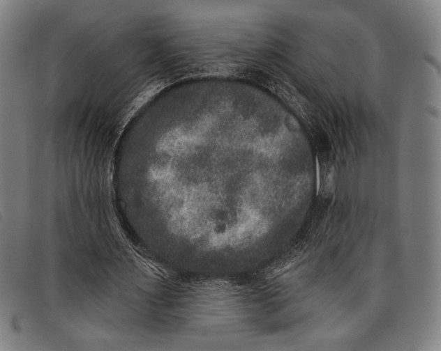 X0000097810483200804041340