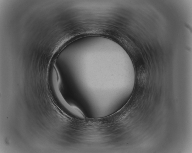 X0000097810484200804041340