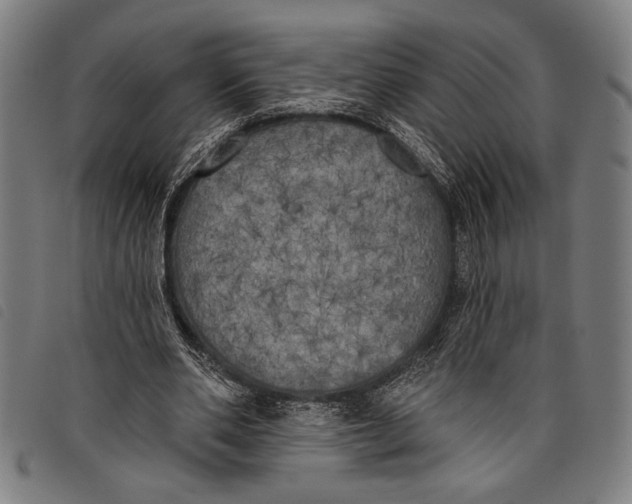 X0000097810486200804041340