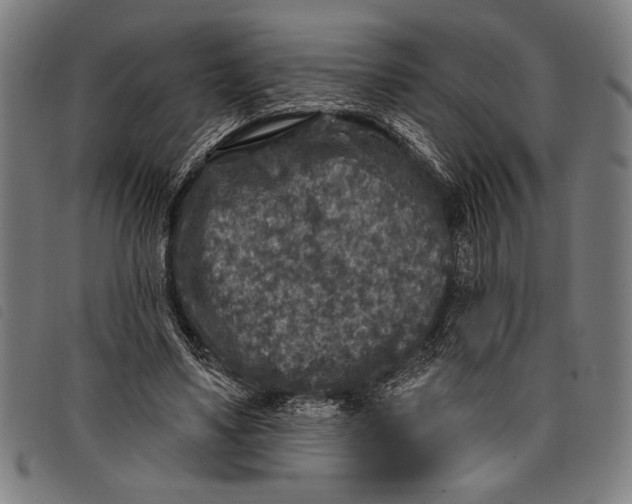 X0000097810491200804041339