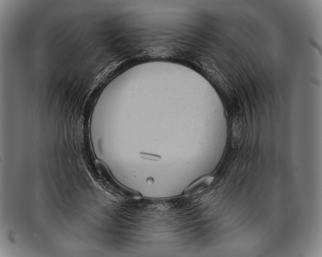 X0000097810492200804041339