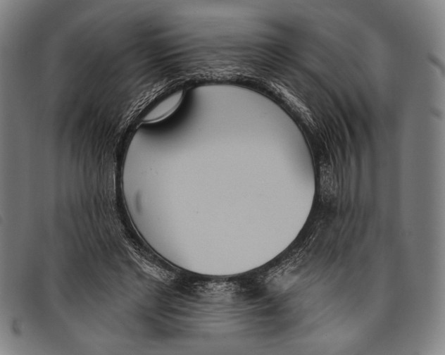 X0000097810493200804041339