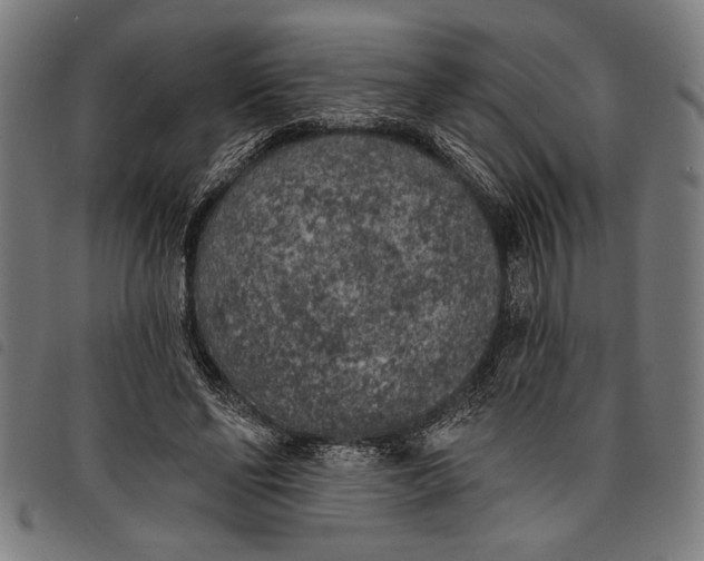 X0000097810494200804041339