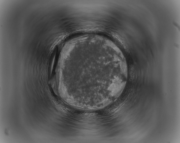 X0000097810495200804041339