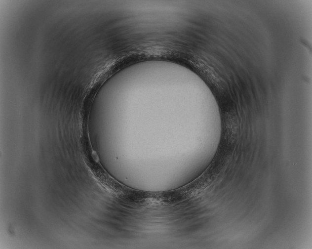 X0000097810496200804041339