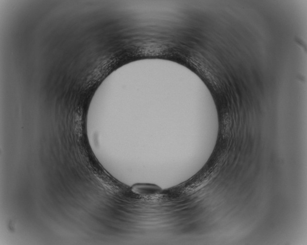 X0000097810497200804041339