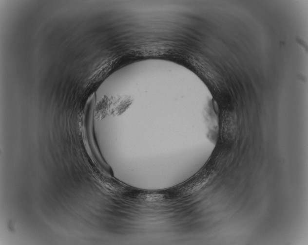 X0000097810501200804041339