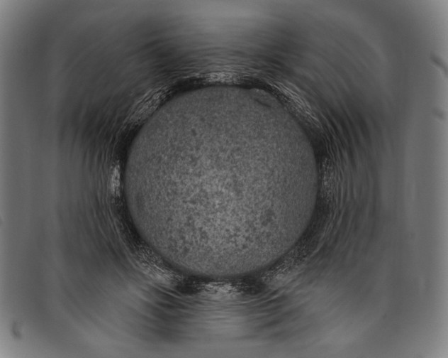 X0000097810502200804041339