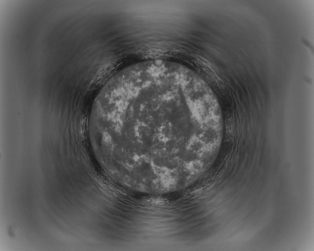 X0000097810503200804041339