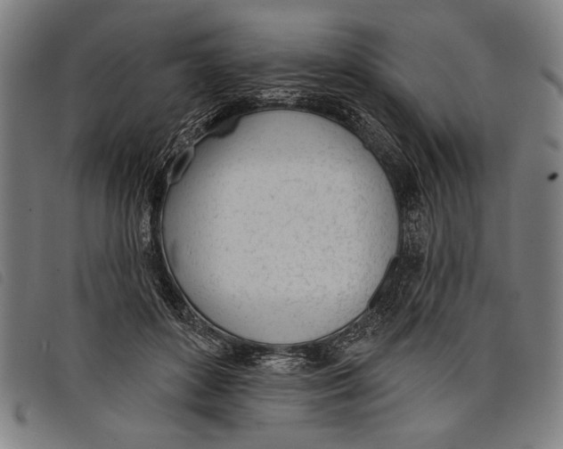 X0000097810504200804041339