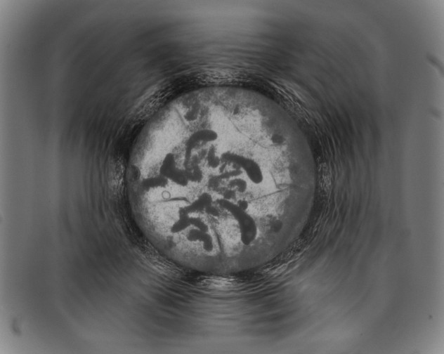 X0000097810507200804041339