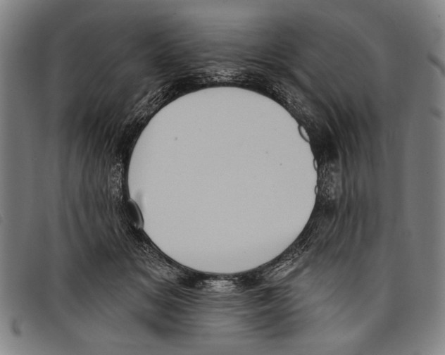 X0000097810509200804041339