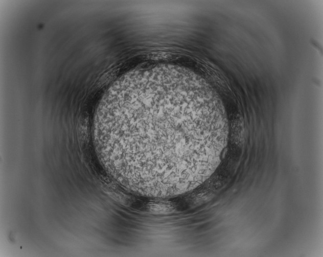 X0000097810510200804041339