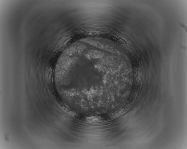 X0000097810511200804041339