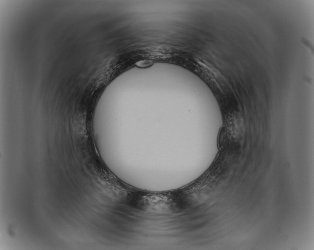 X0000097810512200804041339