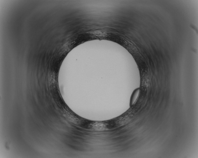 X0000097810518200804041339