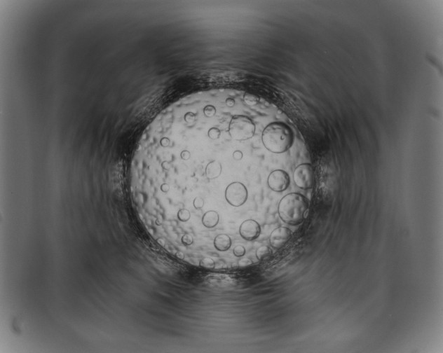 X0000097810519200804041339