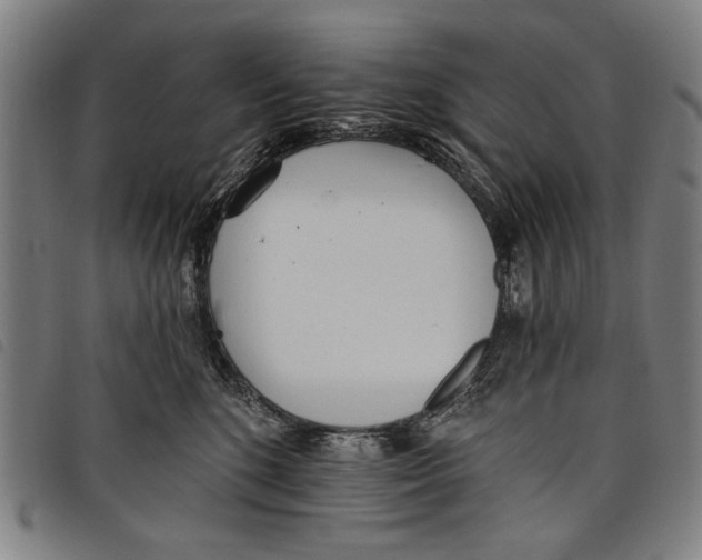 X0000097810520200804041339