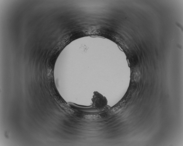 X0000097810521200804041339