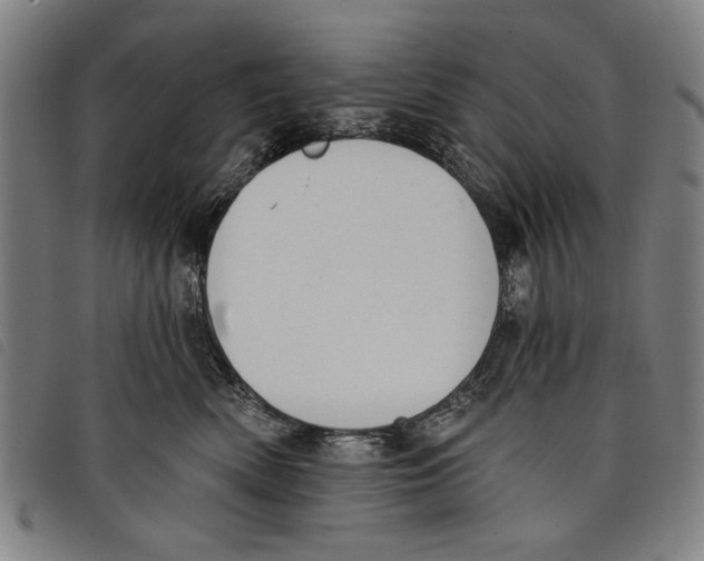 X0000097810522200804041339