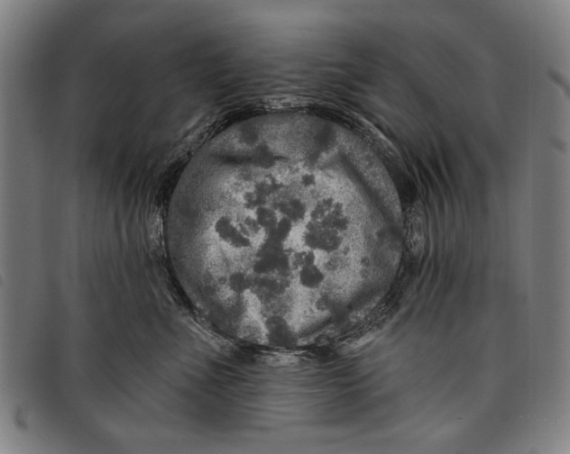 X0000097810523200804041339