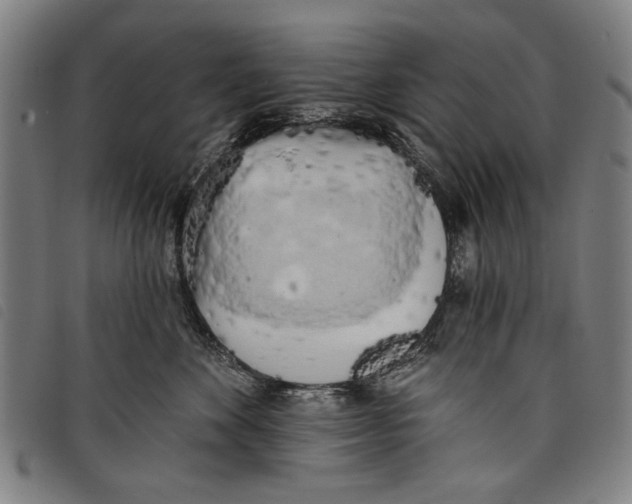 X0000097810524200804041339