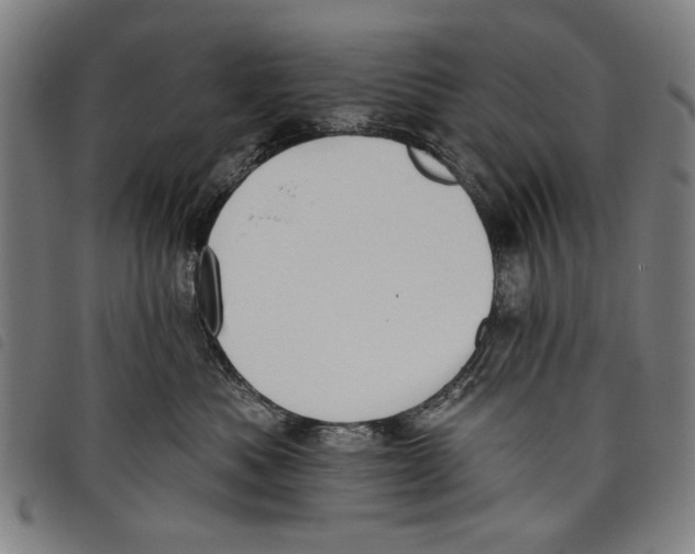 X0000097810525200804041339