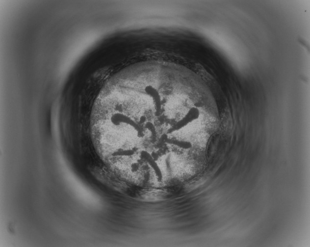 X0000097810527200804041339