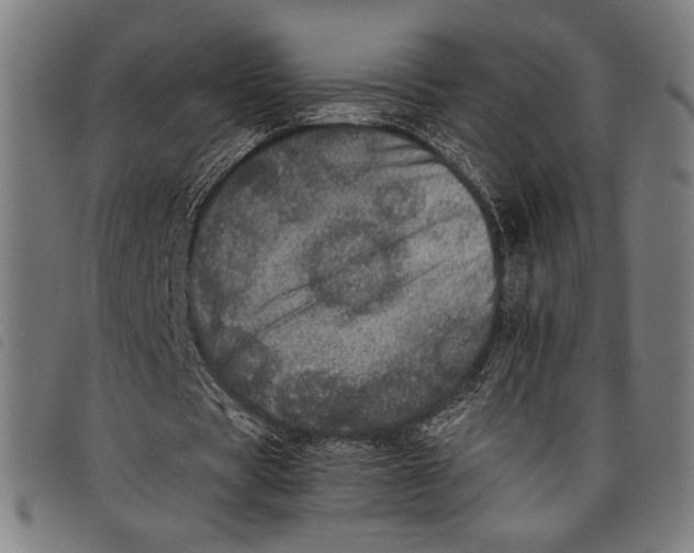 X0000097810529200804041338