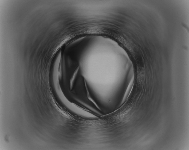 X0000097810530200804041338