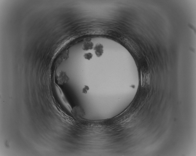 X0000097810531200804041338