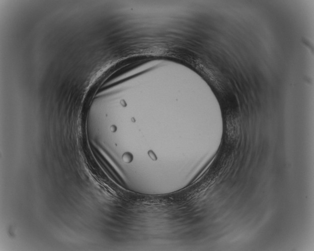 X0000097810532200804041338