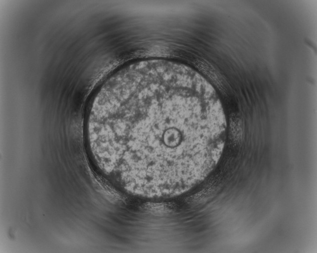 X0000097810534200804041338