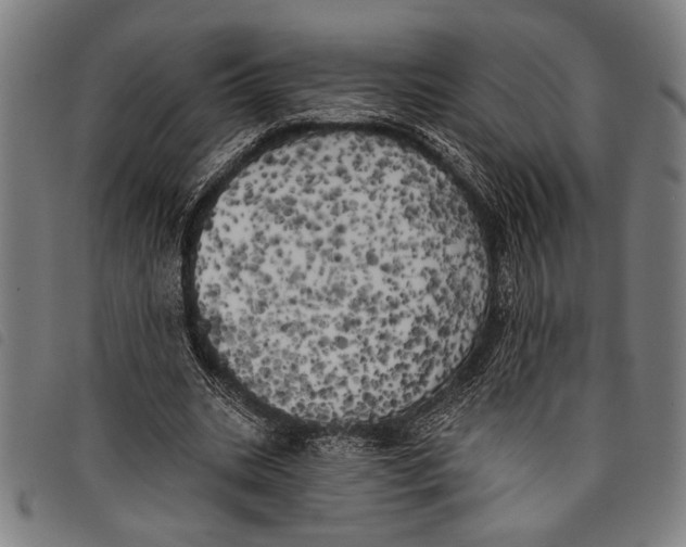 X0000097810535200804041338