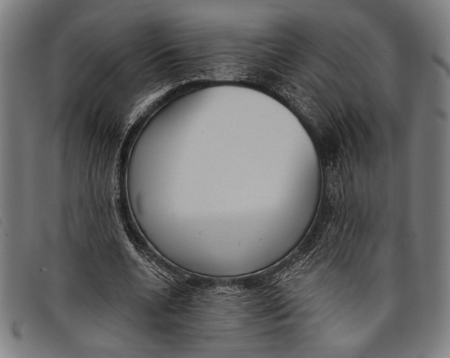 X0000097810536200804041338