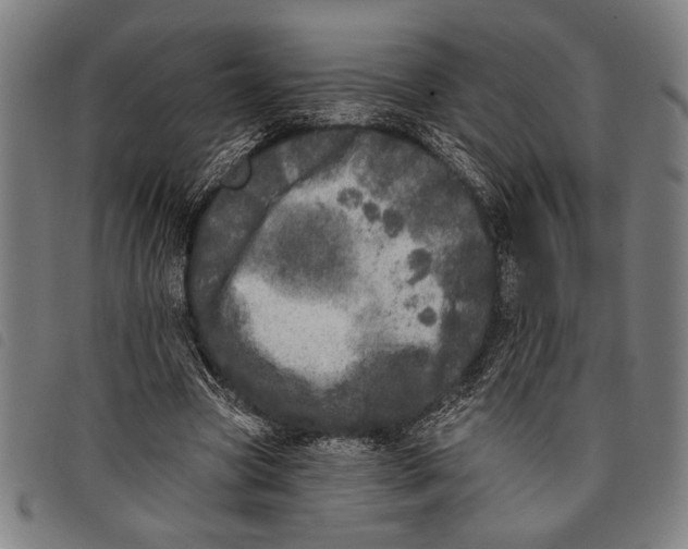 X0000097810537200804041338