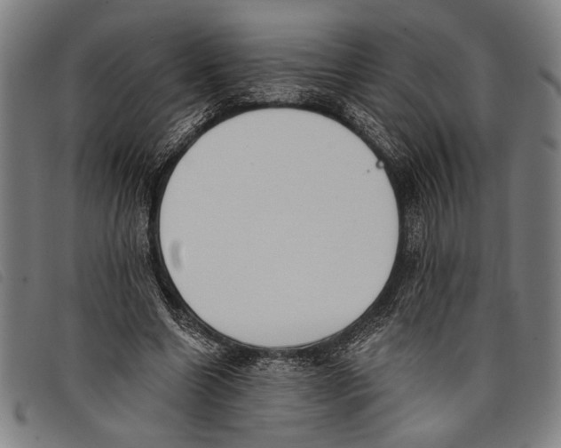 X0000097810538200804041338