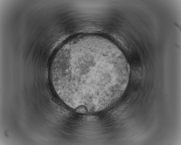 X0000097810539200804041338