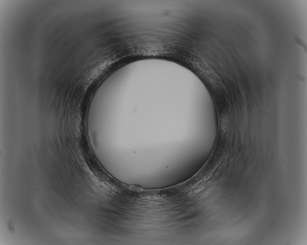 X0000097810540200804041338