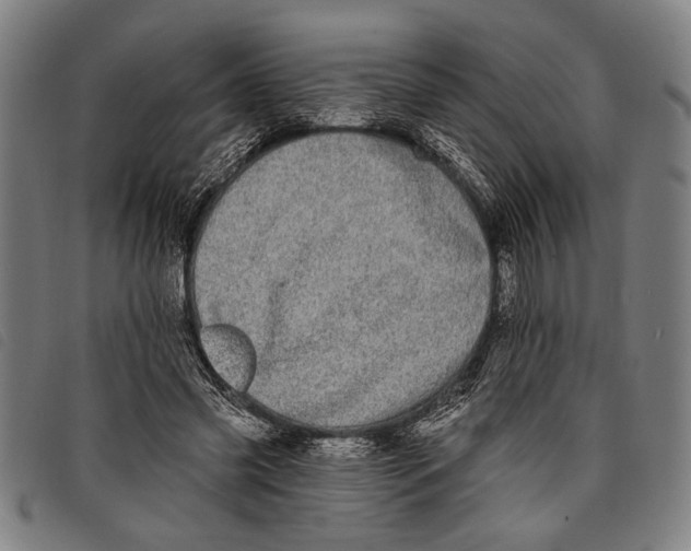 X0000097810541200804041338