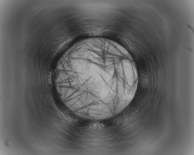 X0000097810543200804041338