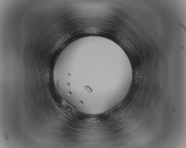 X0000097810544200804041339