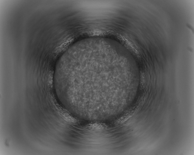 X0000097810545200804041339