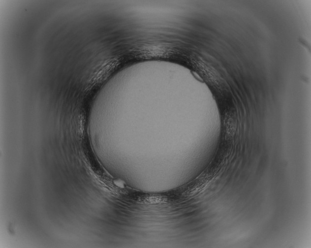 X0000097810546200804041339