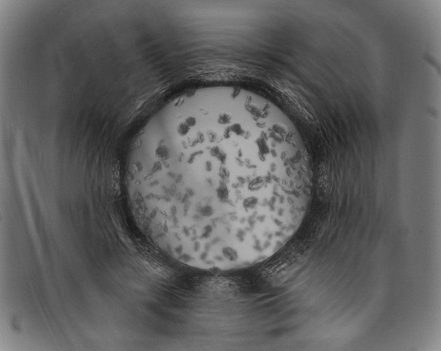 X0000097810547200804041339